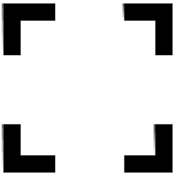 section-icon